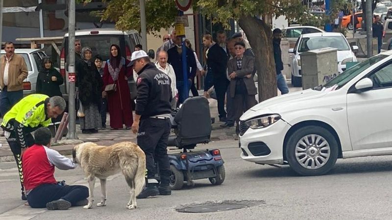 Engelli vatandaşa araba çarptı, sokak köpeği başından ayrılmadı