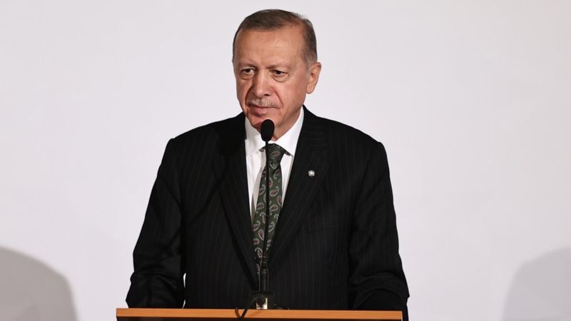 Yunan gazeteciden Cumhurbaşkanı Erdoğan'a 'Bir gece ansızın gelebiliriz' sorusu