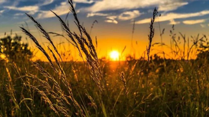 Pastırma sıcakları ne zaman  geliyor 2022? Pastırma yazı bitti mi?