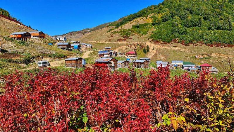 Macahel, sonbahar renklerine büründü