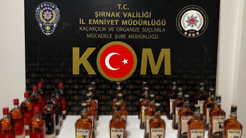 Şırnak'ta yapılan operasyonlarda 65 şüpheli gözaltına alındı