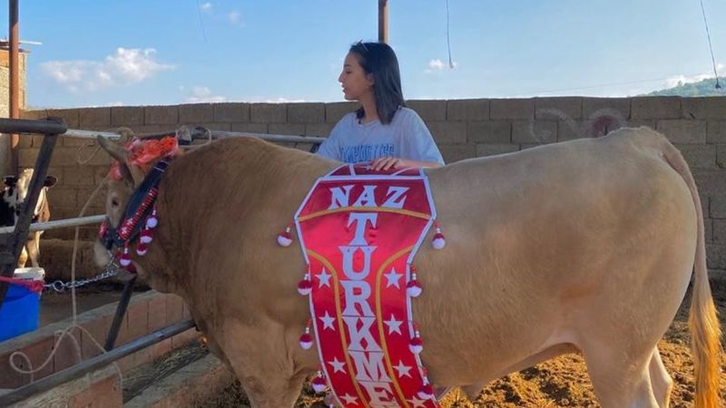Muğla'da genç kızın boğa sevgisi şaşırtıyor