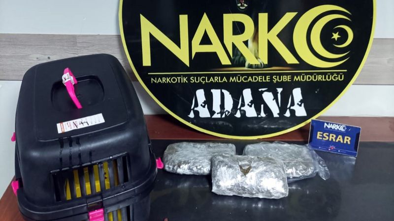 Adana'da otobüsteki kedi kafesinden esrar çıktı