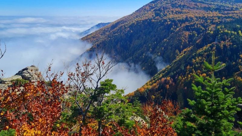 Uludağ, sonbaharda güzelliği ile büyüledi