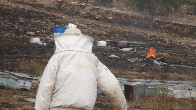 Antalya'da, yangının ortasında kalan arı kovanları küle döndü