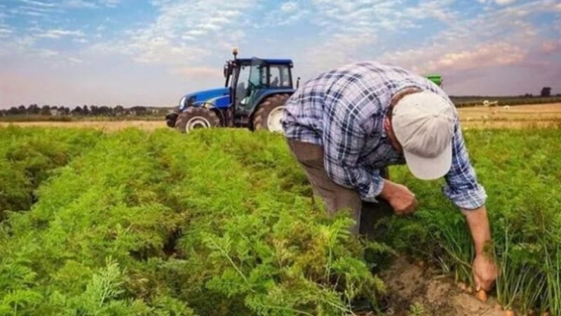 Çiftçilere müjde! Mazot ve gübre desteği yattı mı, ne zaman yatacak? 2022 Mazot ve gübre desteği tarihi!