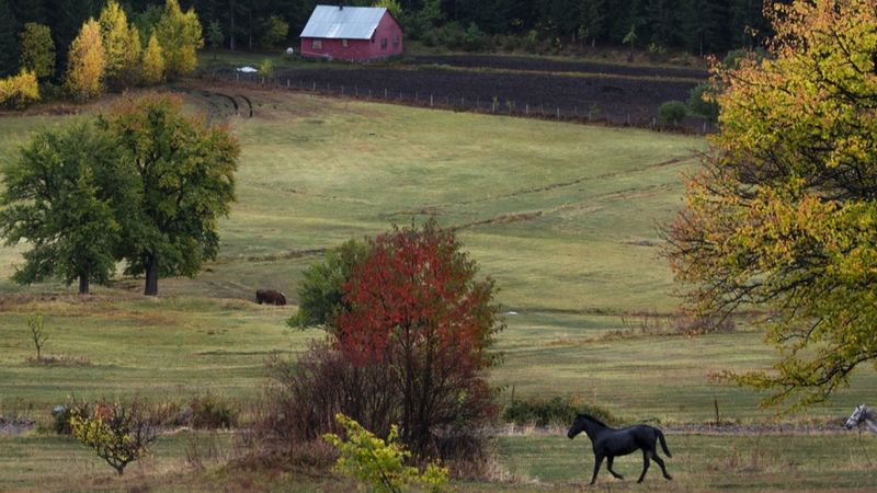 Artvin sonbahar renkleriyle doğaseverlerin rotasında