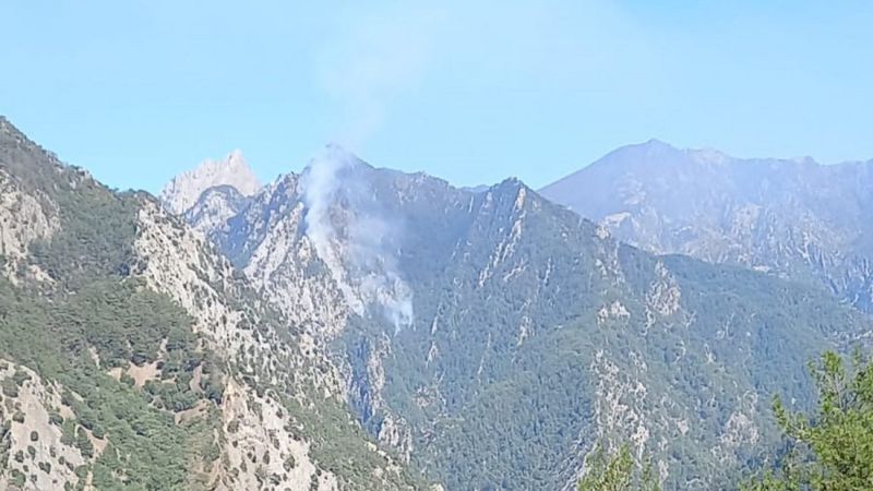 Osmaniye'de orman yangını