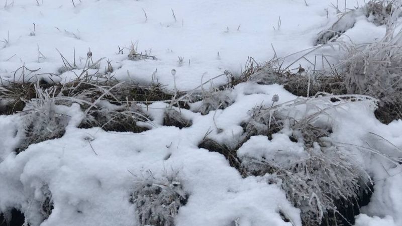 Baybur'ta kar yağdı