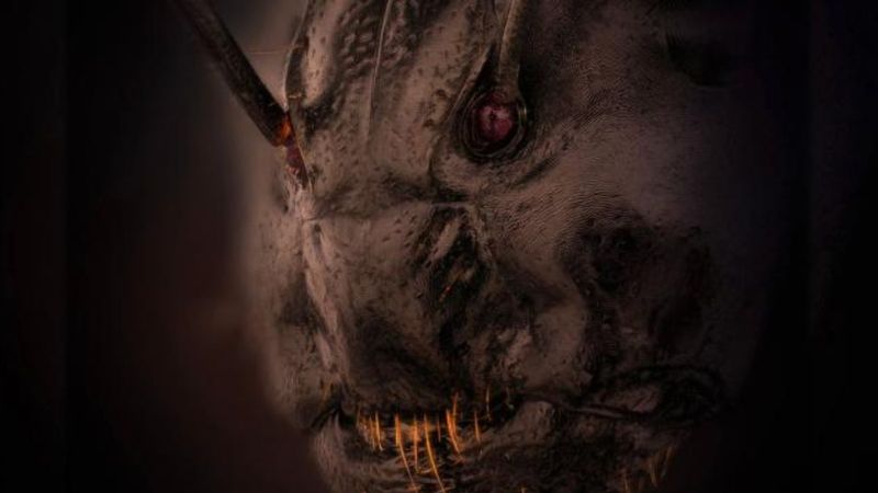 Mikroskobik düzeyde çekilen karınca yüzü fotoğrafı ilgi topladı