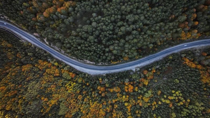 Domaniç Dağları sonbaharın renklerine büründü