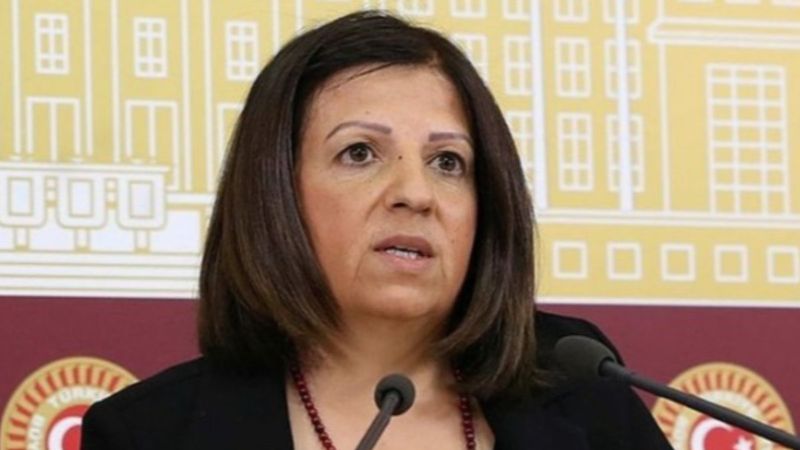 HDP'li vekil gözaltına alınan teröristlere sahip çıktı