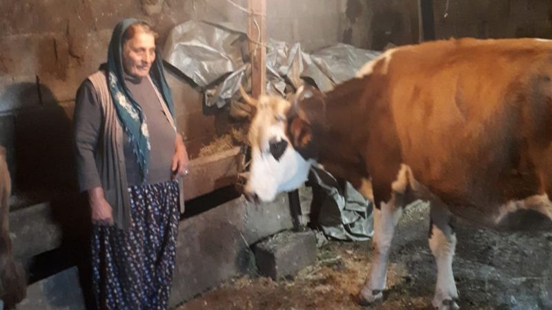 Tunceli'deki yangında inekleri telef olan aileye hediye