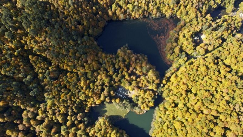 Yedigöller Milli Parkı renkli manzaralar oluşturdu