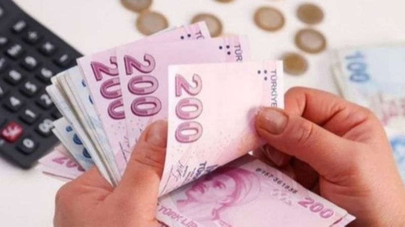 Çocuk desteği parası ne kadar, ne zaman yatar? 2022 Çocuk desteği parası başvuru detayları!