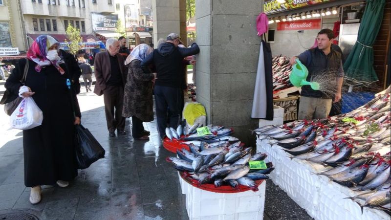 Trabzon'da son yılların en bereketli palamut dönemi yaşanıyor