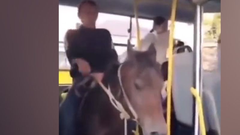 Kars’ta bir vatandaş atıyla birlikte otobüse bindi