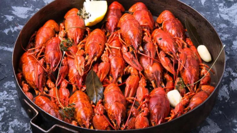 MasterChef'ler toplanın: Kerevit nedir, nasıl yenir, faydaları nelerdir?
