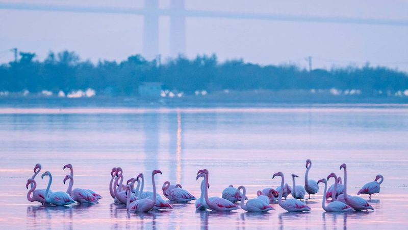1915 Çanakkale Köprüsü'nden kartpostallık kareler