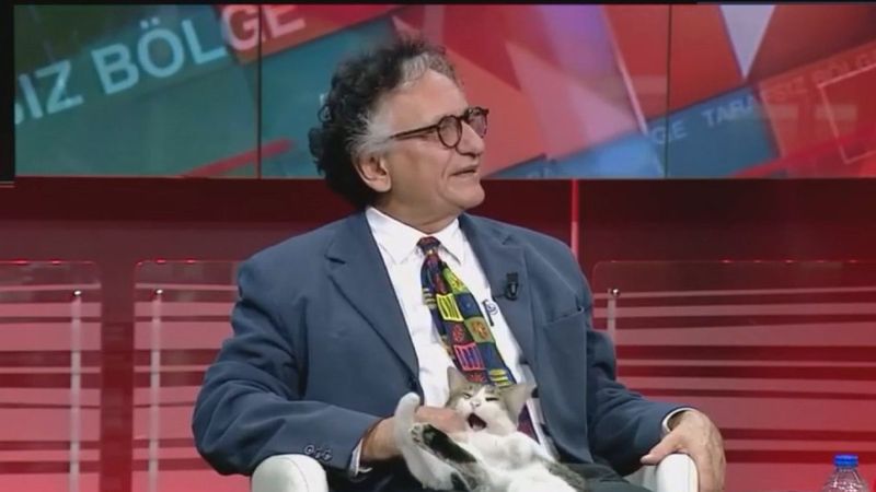 CNN Türk canlı yayınına kedi sürprizi