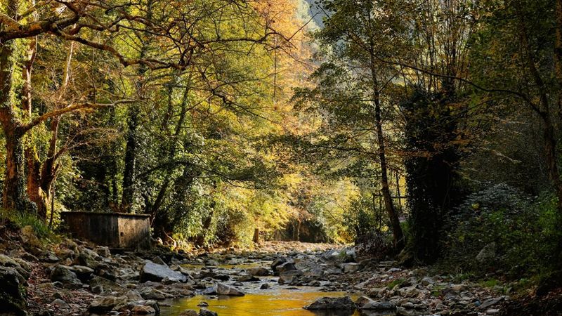 Sakarya'da Maden Deresi'nin eşsiz manzaları