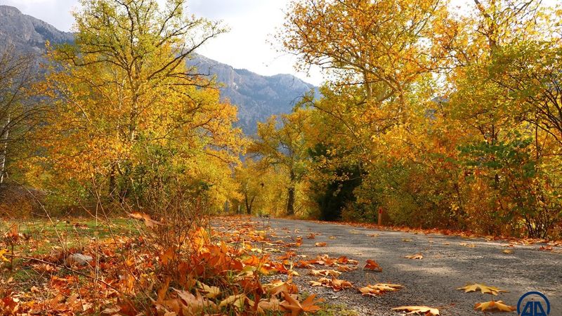 Adana'daki Belemedik Tabiat Parkı'ndan sonbahar manzaraları