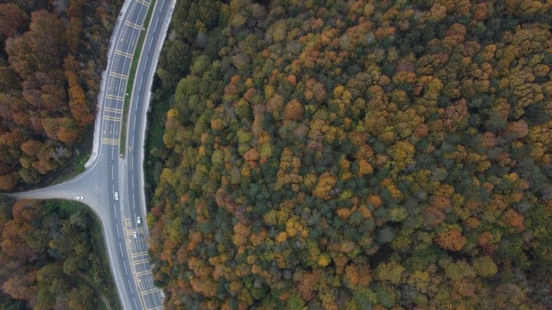 Batı Karadeniz'in renkleri görsel şölen sundu