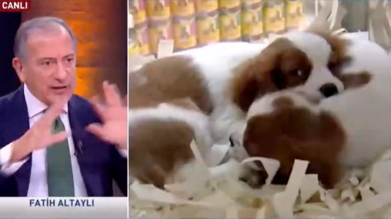 Fatih Altaylı'dan konuğuna: Beni delirtmeyin lütfen