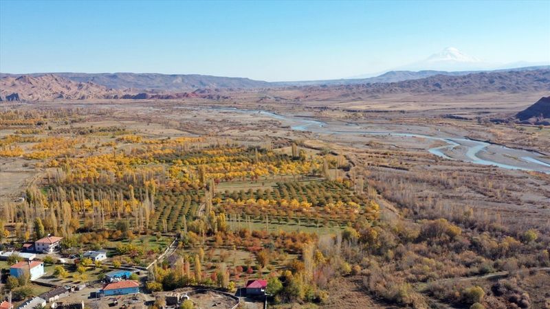 Iğdır'daki ağaçların renk gümbüşü göz kamaştırdı
