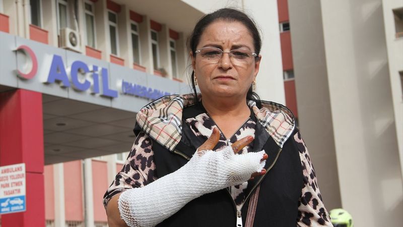 Aydın'da tasmasız köpek yürüyüş yapan kadını ısırdı