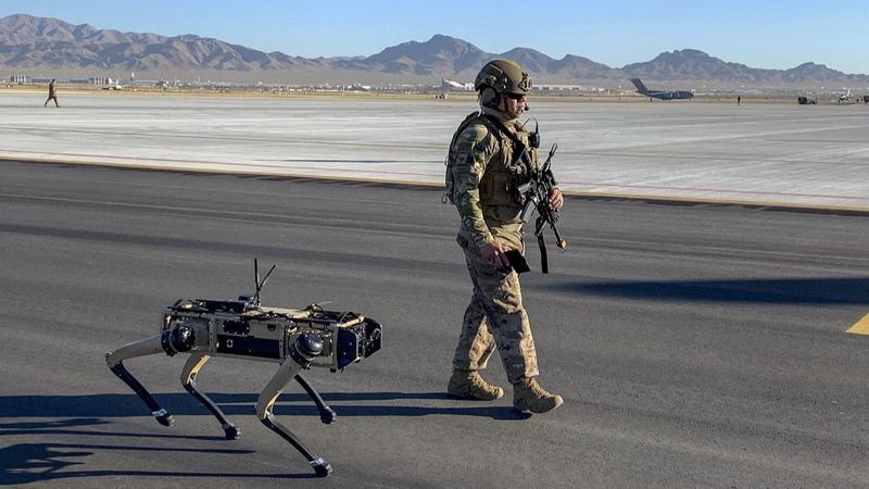 Robot köpekler, hapishanelerde devriye gezecek