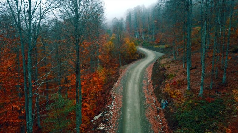 Samsun'daki Nebiyan Dağı güz renklerine boyandı