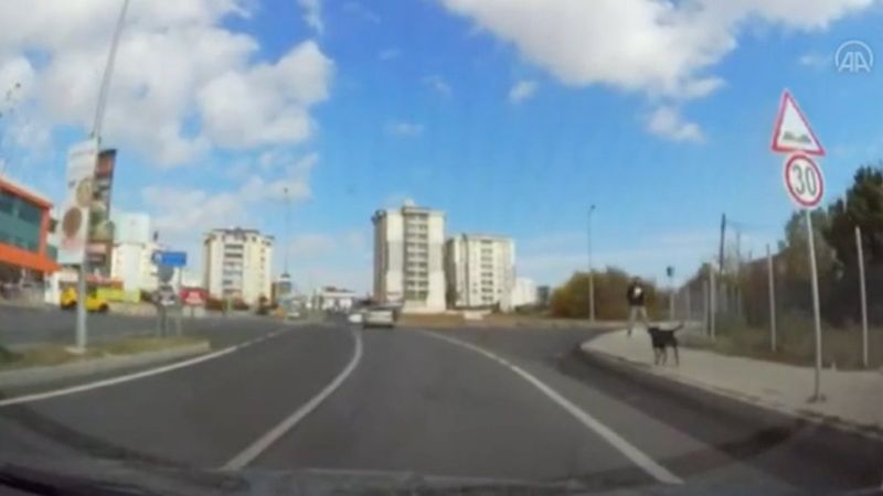 Tekirdağ'da sokak köpeğinin kovaladığı çocuğu kurtardı