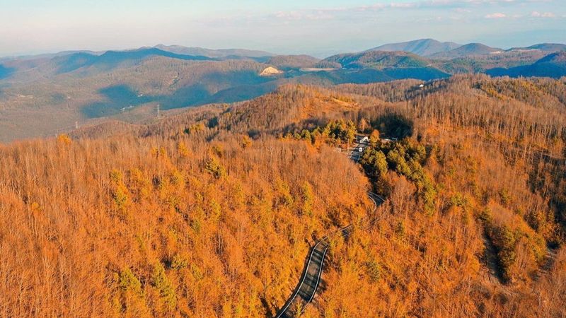 Zonguldak'ta sonbaharda renk cümbüşü 