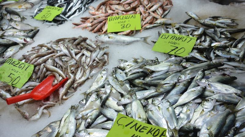 Düzce'de balık tezgahları şenlendirdi