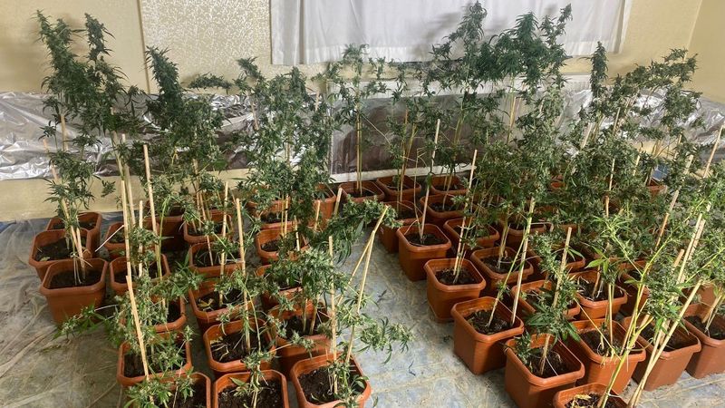 Ankara’da, uyuşturucu operasyonu: Kokain, içecek kutusundan çıktı