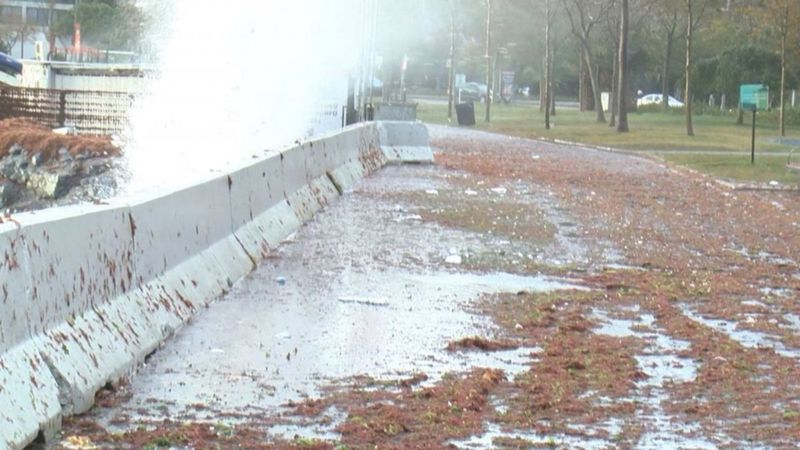 Kadıköy'de şiddetli lodos etkili oldu