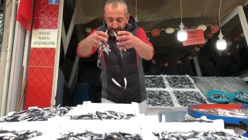 Karadeniz hamsisi tezgahta