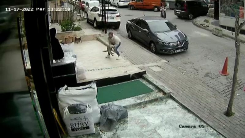 Güngören'de 3'üncü kattan düşen kediyi yakaladı