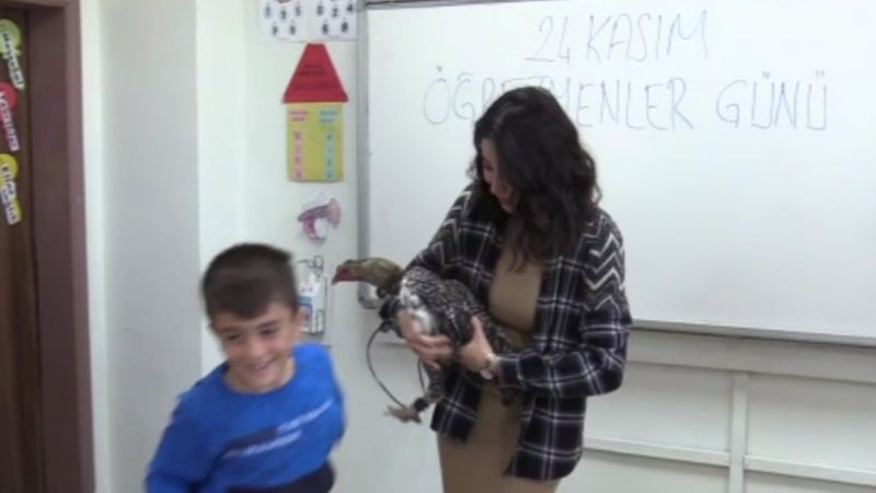 Batman'da öğretmenine kümesten getirdiği tavuğu hediye etti