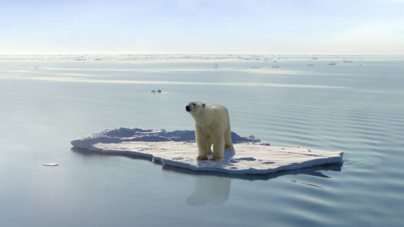 Küresel ısınma nedeniyle yeni hayvanlar ortaya çıktı