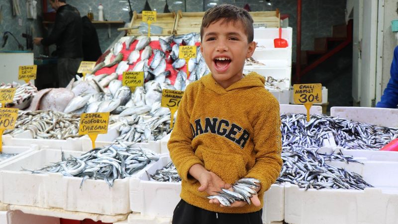 Samsun'da soğuyan hava balığa yönlendirdi