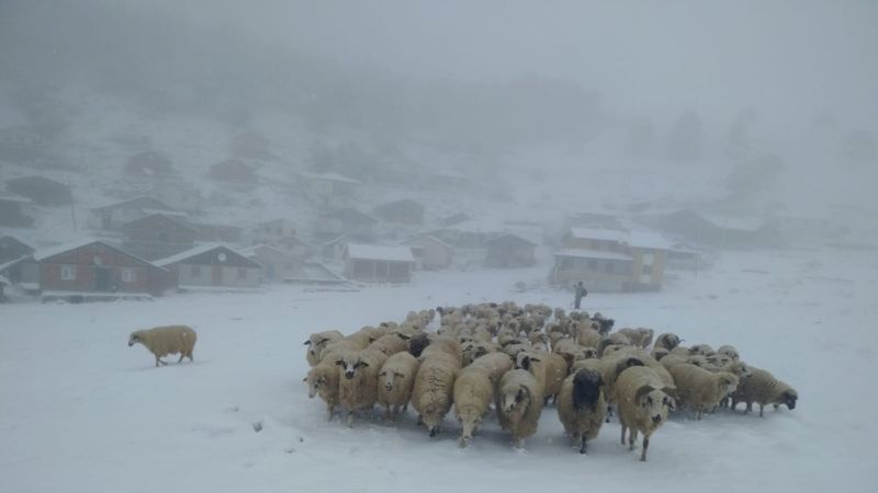 Tokat'ta kar yağışı ile göl ve yaylalar beyaza büründü