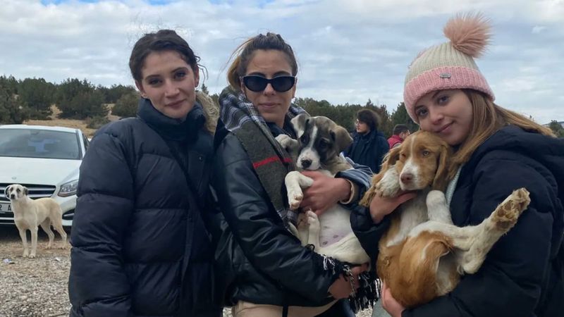 Konya'daki barınakta cins köpekler sahiplenildi sokak köpekleri kaldı