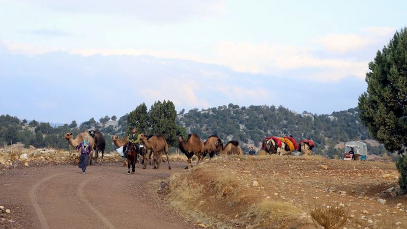 Yörüklerin yayladan dönüşü başladı