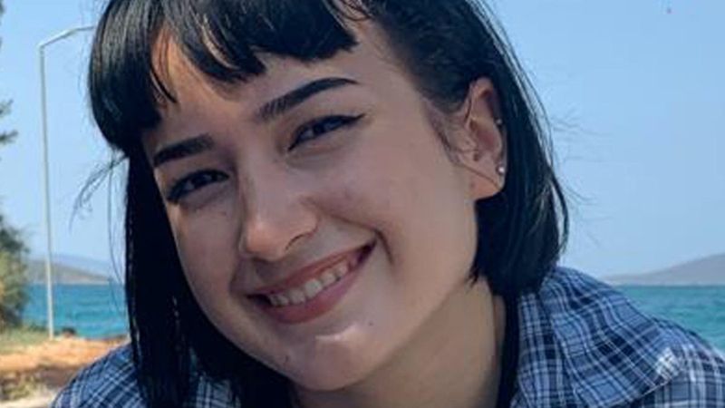 Sokak köpekleri saldırısında acı bilanço 