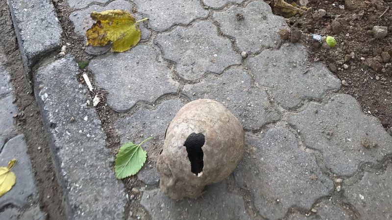 Aydın’da, inşaat alanında kafatası ve kemikler çıktı