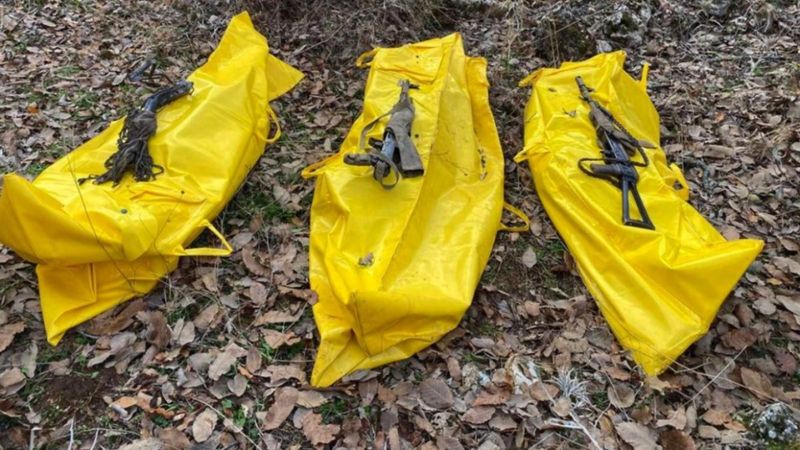 Şırnak'ta üç terörist öldürüldü 