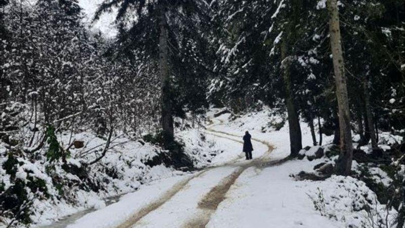 Rize'de yaylalara kar yağdı