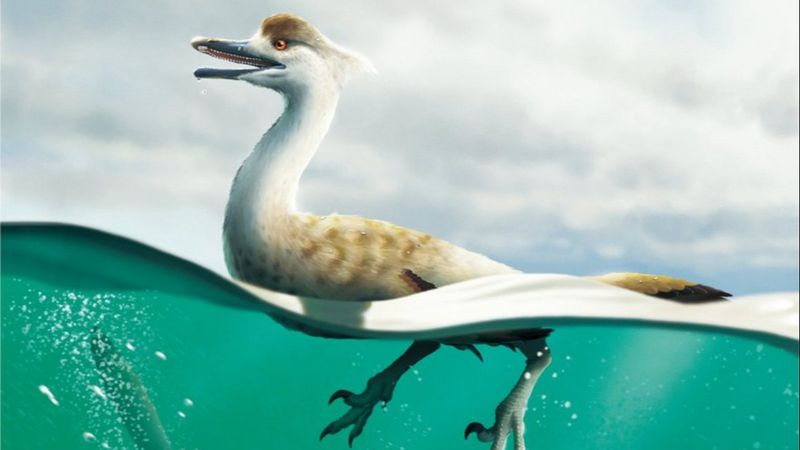 Ördeğe benzeyen bir dinozor türü keşfedildi